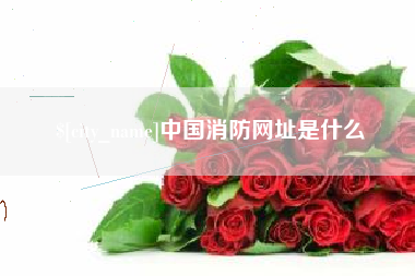 商丘中国消防网址是什么