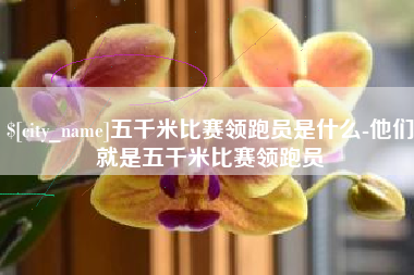 商丘五千米比赛领跑员是什么-他们就是五千米比赛领跑员