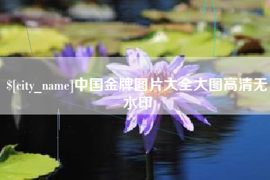 商丘中国金牌图片大全大图高清无水印