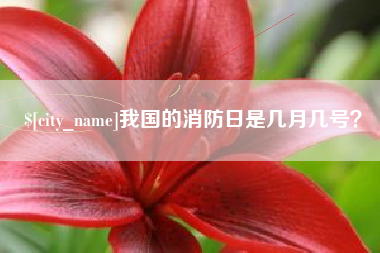 商丘我国的消防日是几月几号？