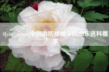 商丘中国消防救援学院山东选科要求