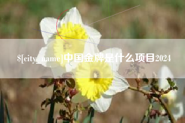 商丘中国金牌是什么项目2024
