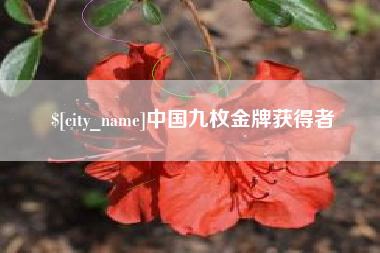 商丘中国九枚金牌获得者