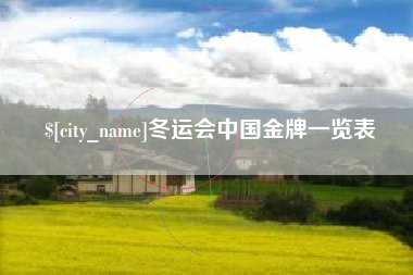 商丘冬运会中国金牌一览表