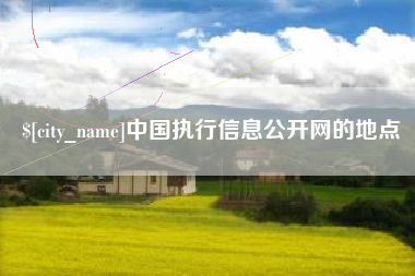 商丘中国执行信息公开网的地点