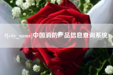 商丘中国消防产品信息查询系统1
