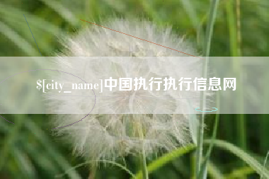 商丘中国执行执行信息网