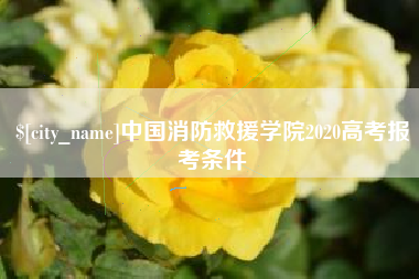 商丘中国消防救援学院2020高考报考条件
