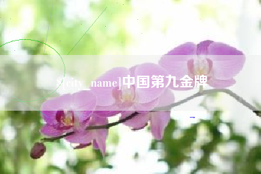 商丘中国第九金牌