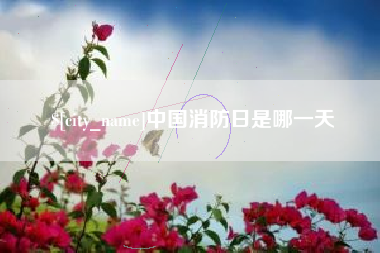 商丘中国消防日是哪一天