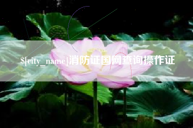 商丘消防证国网查询操作证