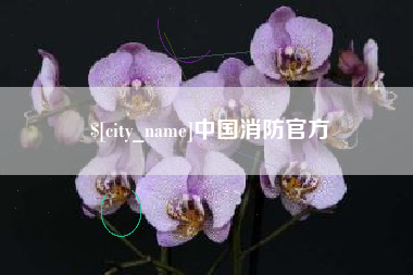 商丘中国消防官方