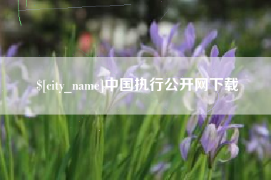 商丘中国执行公开网下载