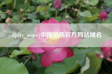 商丘中国消防官方网站域名