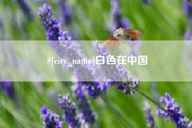 商丘白色在中国