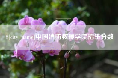 商丘中国消防救援学院招生分数