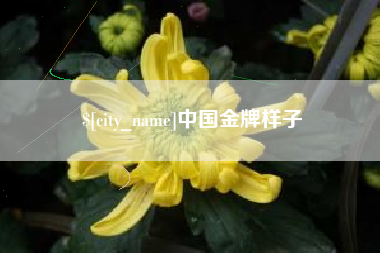 商丘中国金牌样子