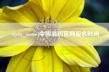商丘中国消防官网报名时间
