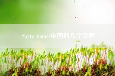 商丘中国的几个金牌