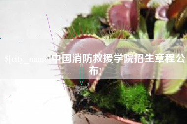 商丘中国消防救援学院招生章程公布!