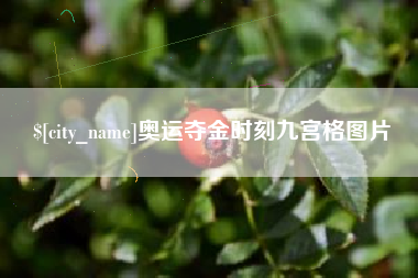 商丘奥运夺金时刻九宫格图片
