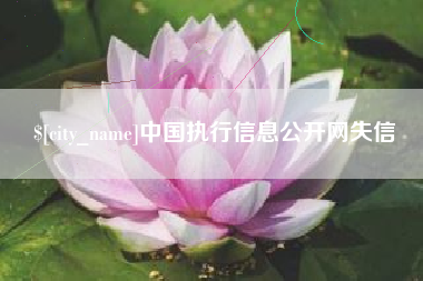 商丘中国执行信息公开网失信