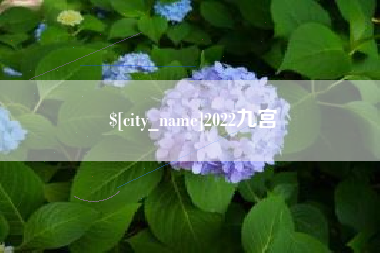 商丘2022九宫