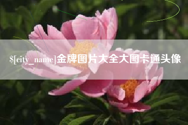 商丘金牌图片大全大图卡通头像